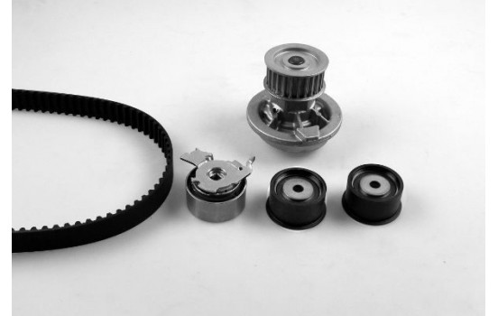 Water Pump & Timing Belt Set PK03164 Hepu