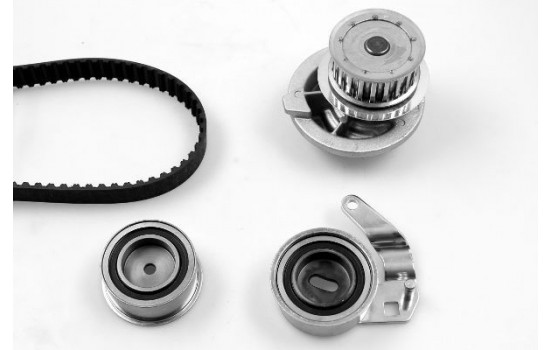 Water Pump & Timing Belt Set PK03180 Hepu