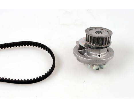 Water Pump & Timing Belt Set PK03980 Hepu
