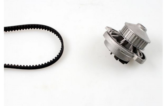 Water Pump & Timing Belt Set PK05331 Hepu