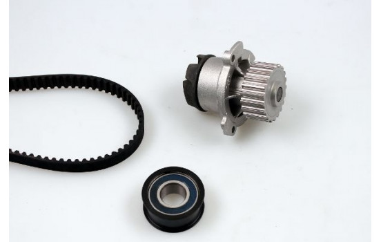 Water Pump & Timing Belt Set PK06220 Hepu