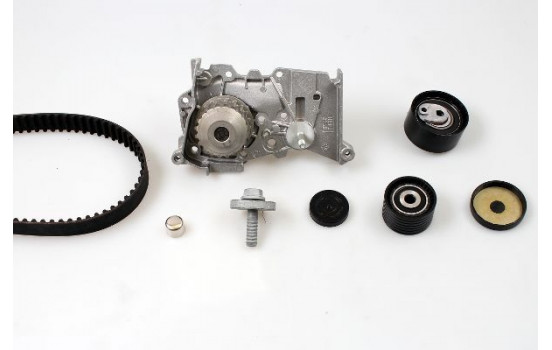 Water Pump & Timing Belt Set PK08420 Hepu