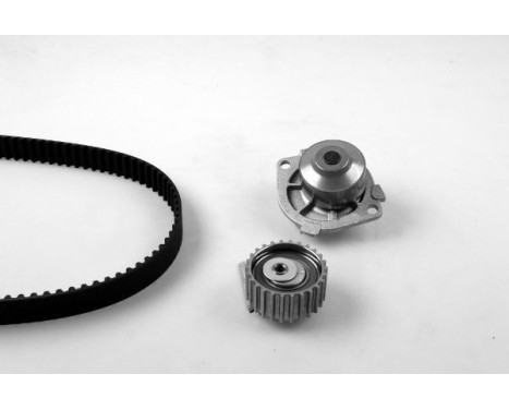 Water Pump & Timing Belt Set PK10350 Hepu