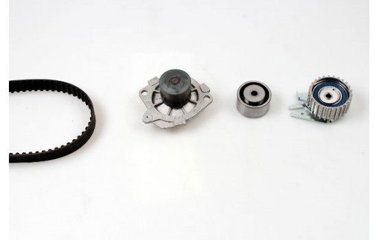 Water Pump & Timing Belt Set PK10553 Hepu