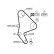 Water Pump & Timing Belt Set PowerGrip® KP15588XS Gates, Thumbnail 3