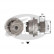 Water Pump & Timing Belt Set PowerGrip® KP35310XS Gates