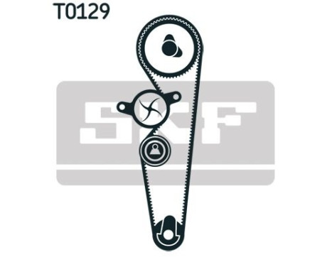 Water Pump & Timing Belt Set VKMC 02215-1 SKF, Image 2