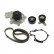 Water Pump & Timing Belt Set VKMC 05701 SKF