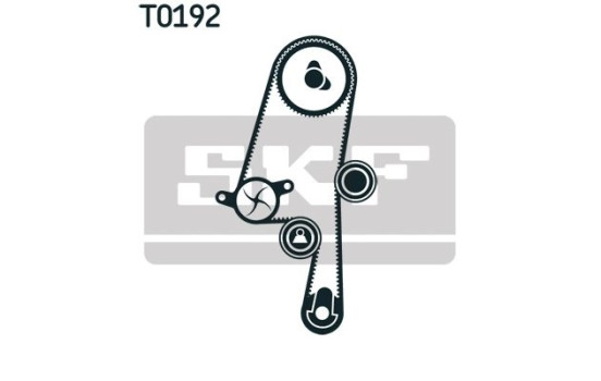 Water Pump & Timing Belt Set VKMC 06220 SKF, Image 3