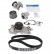 Water Pump & Timing Belt Set VKMC 95981 SKF