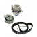 Water Pump & Timing Belt Set