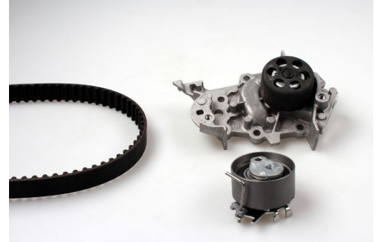 Water Pump & Timing Belt Set