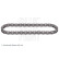 Chain, oil pump drive