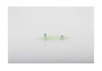 Guide rail, timing chain