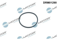 Seal ring, timing chain tensioner