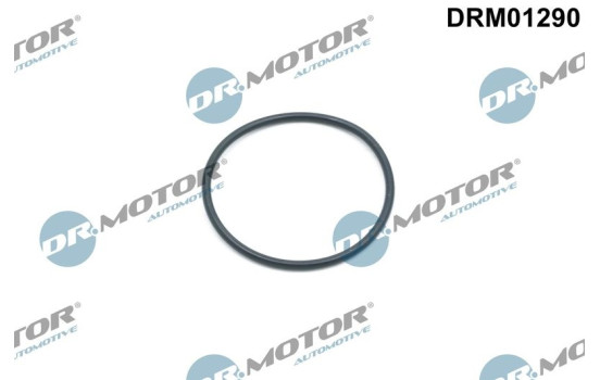 Seal ring, timing chain tensioner