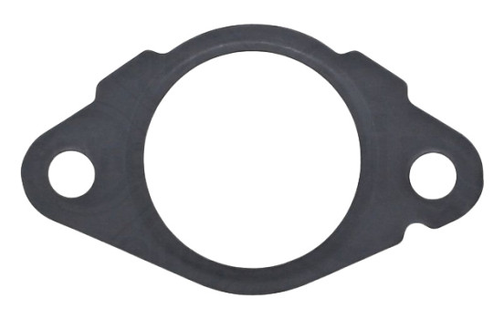 Seal, timing chain tensioner