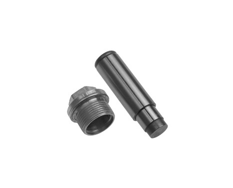 Tensioner, timing chain