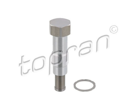 Tensioner, timing chain