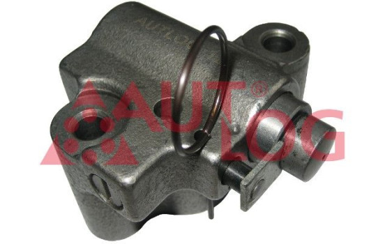 Tensioner, timing chain