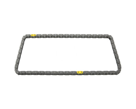 Timing Chain 100049 FEBI