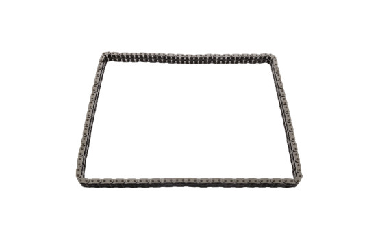 Timing Chain 17646 FEBI