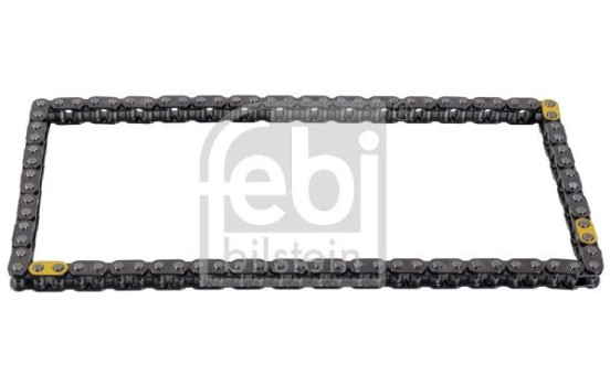 timing chain 181070 FEBI