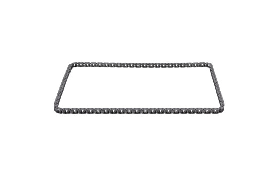Timing Chain 29867 FEBI
