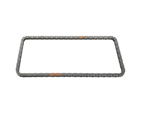 Timing Chain 30668 FEBI