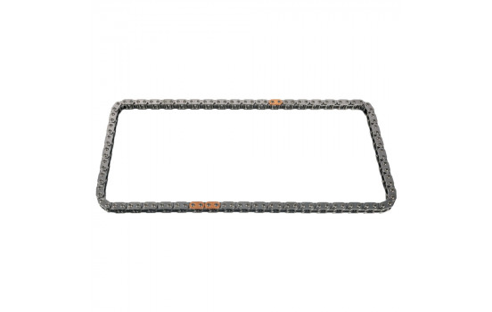 Timing Chain 30668 FEBI