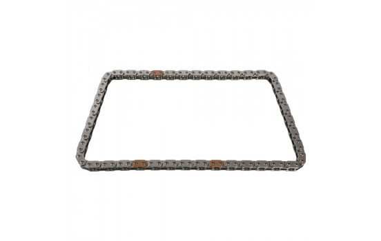 Timing Chain 31002 FEBI