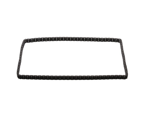 Timing Chain 33975 FEBI