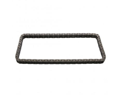 Timing Chain 40810 FEBI