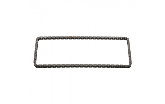 Timing Chain 40813 FEBI