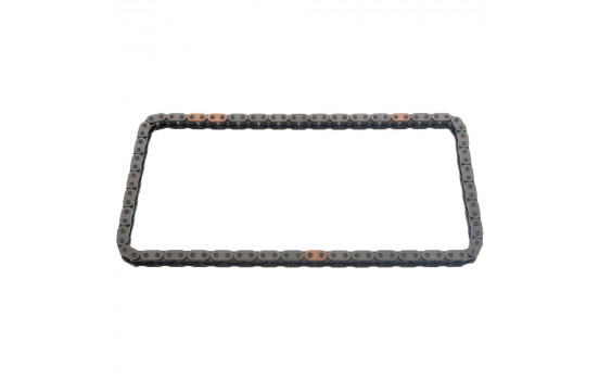 Timing Chain 48572 FEBI