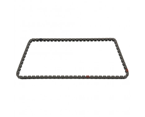 Timing Chain 49768 FEBI
