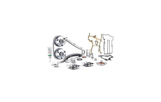 Timing Chain Kit INA Engine KIT