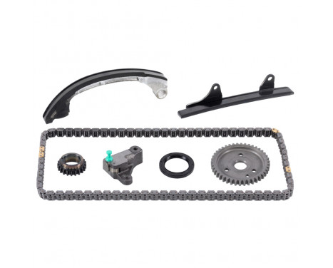 Timing Chain Kit