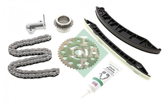 Timing Chain Kit