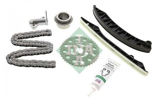 Timing Chain Kit