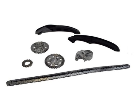 Timing Chain Kit