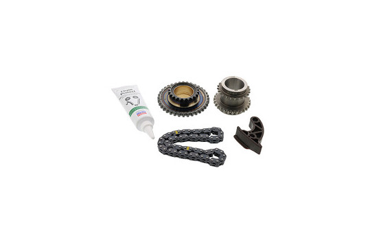 Timing Chain Kit