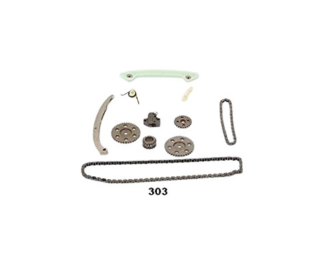 Timing Chain Kit