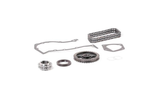 Timing Chain Kit