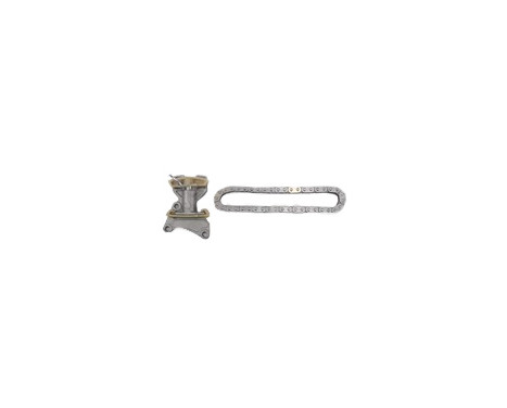 Timing Chain Kit