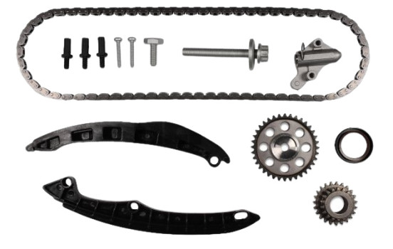 Timing Chain Kit
