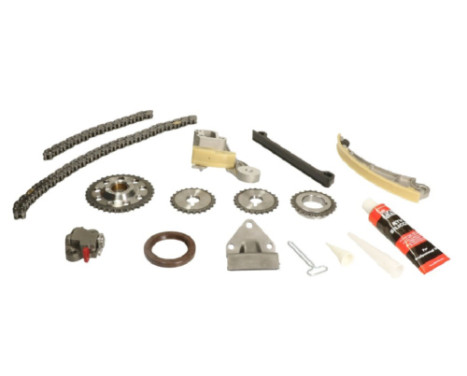 Timing Chain Kit