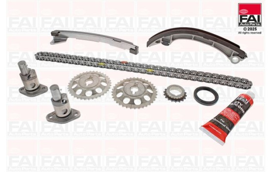 Timing Chain Kit
