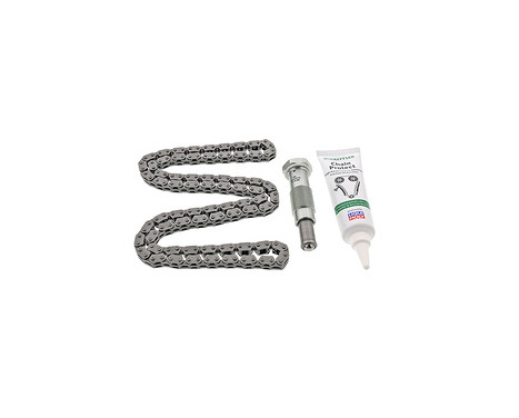 Timing Chain Set
