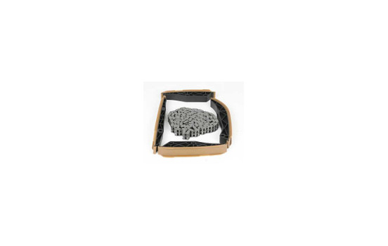 Timing Chain Set